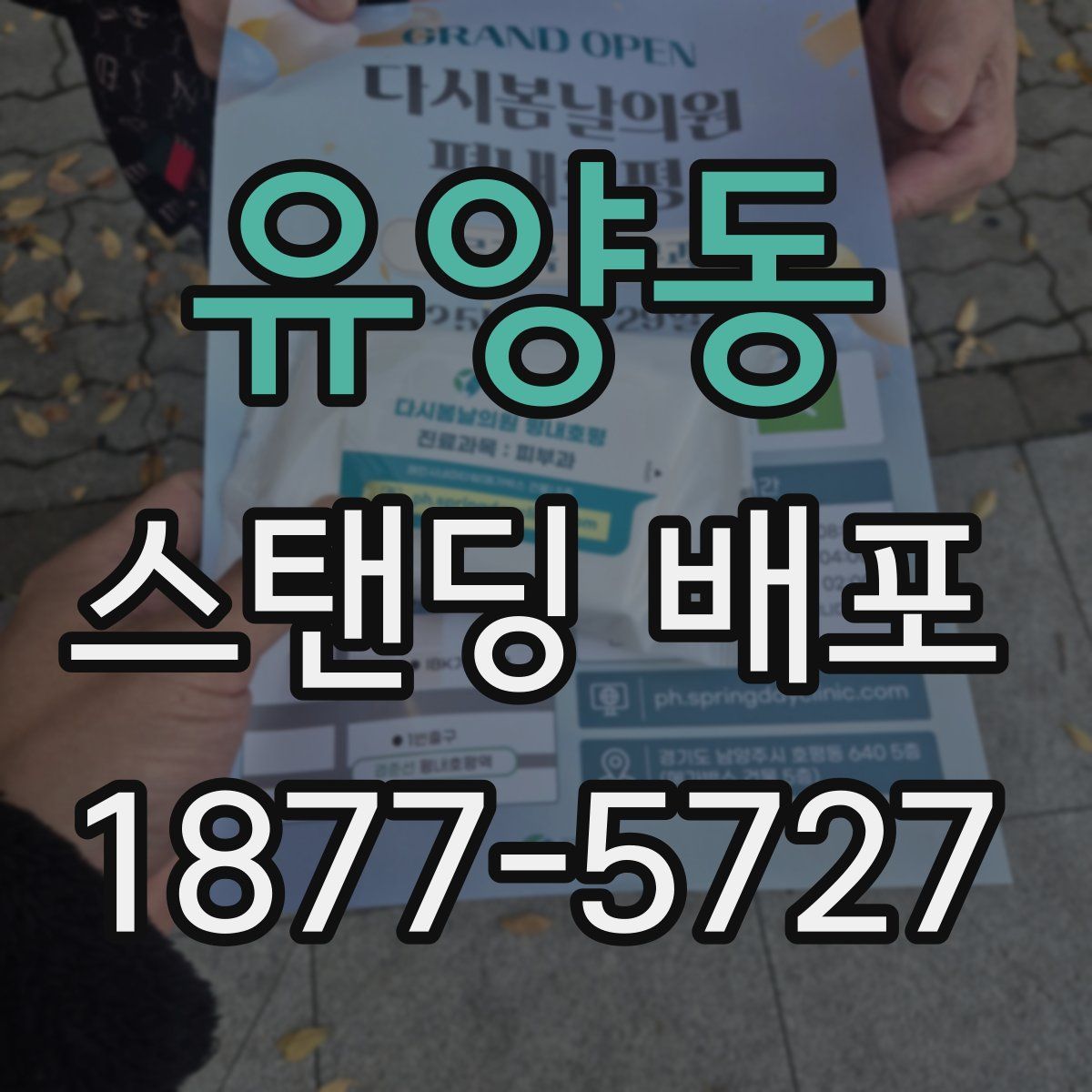 유양동 스탠딩 배포