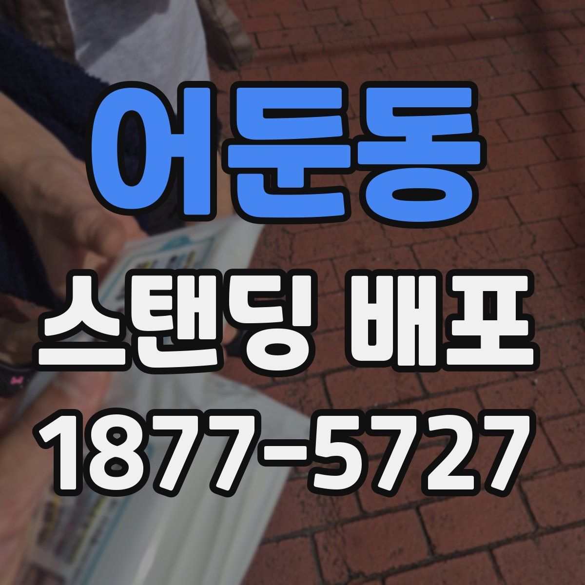 어둔동 스탠딩 배포