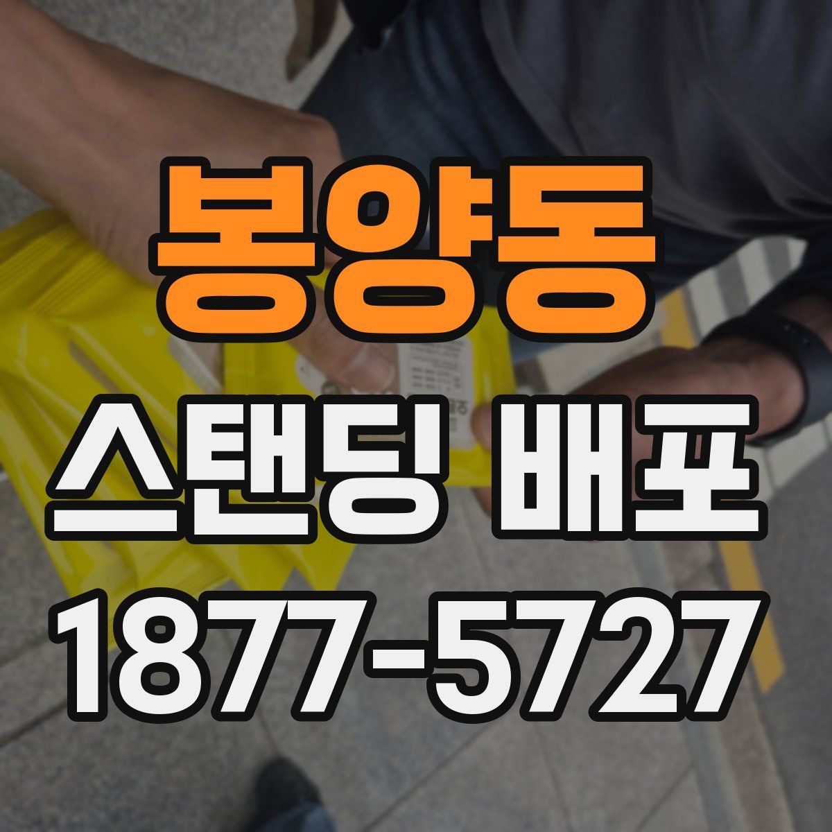 봉양동 스탠딩 배포