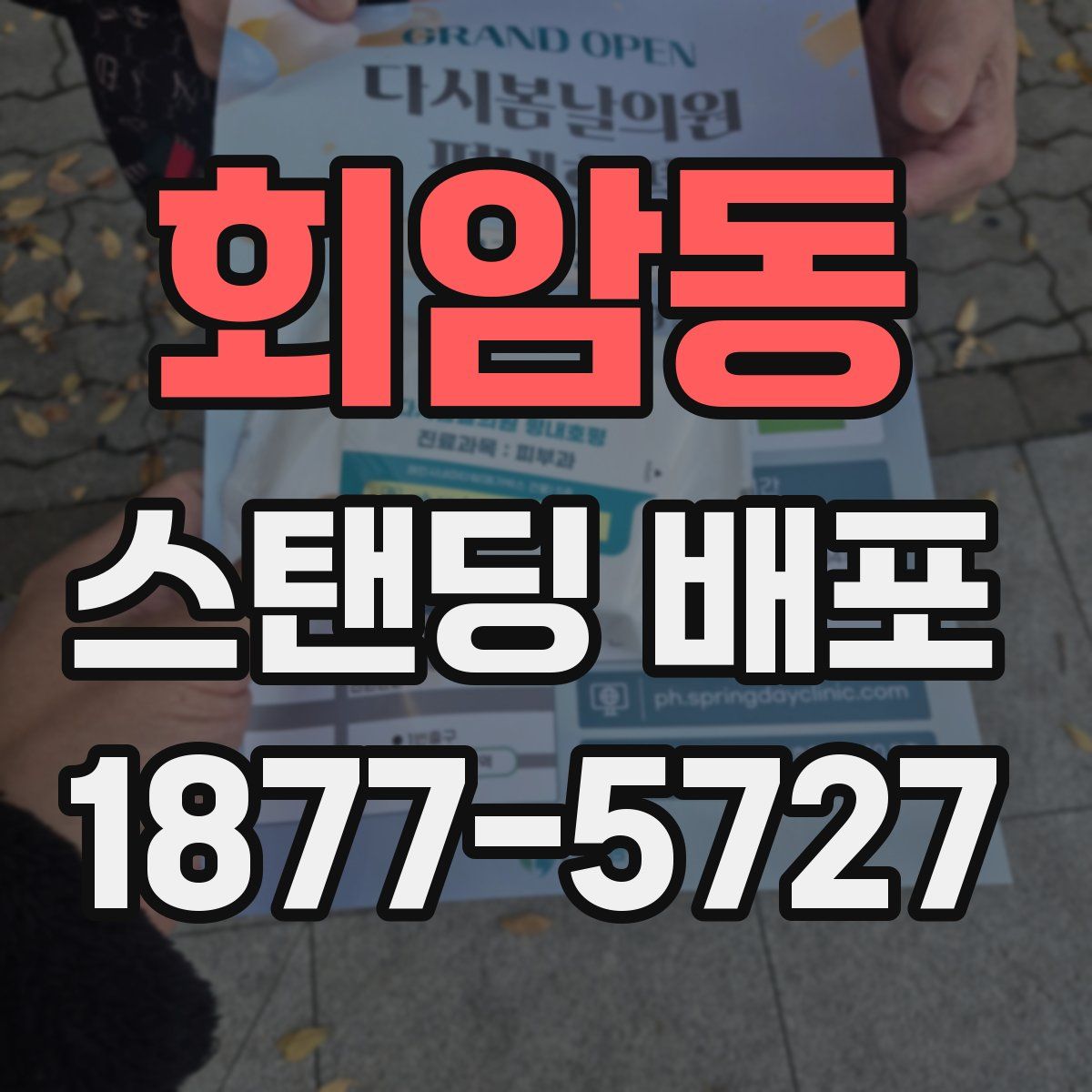 회암동 스탠딩 배포