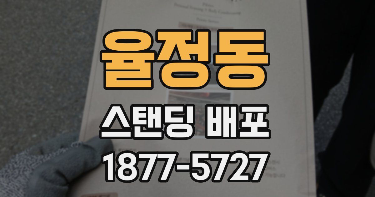 율정동 스탠딩 배포