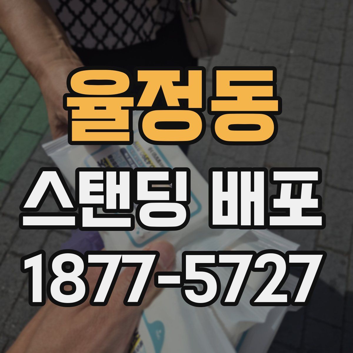 율정동 스탠딩 배포