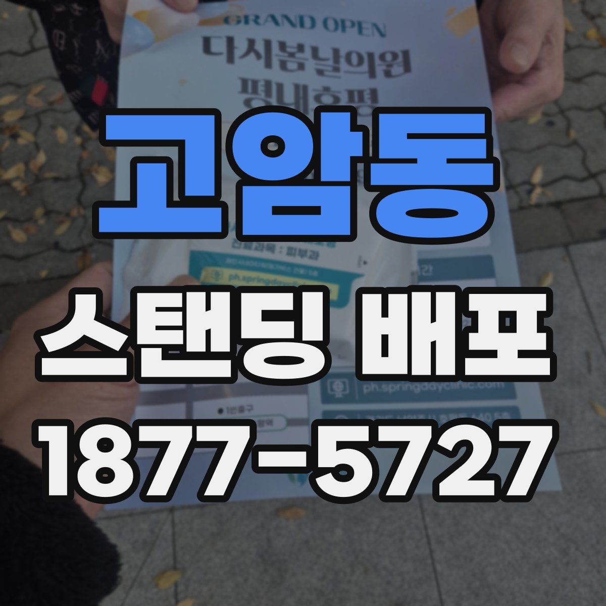 고암동 스탠딩 배포