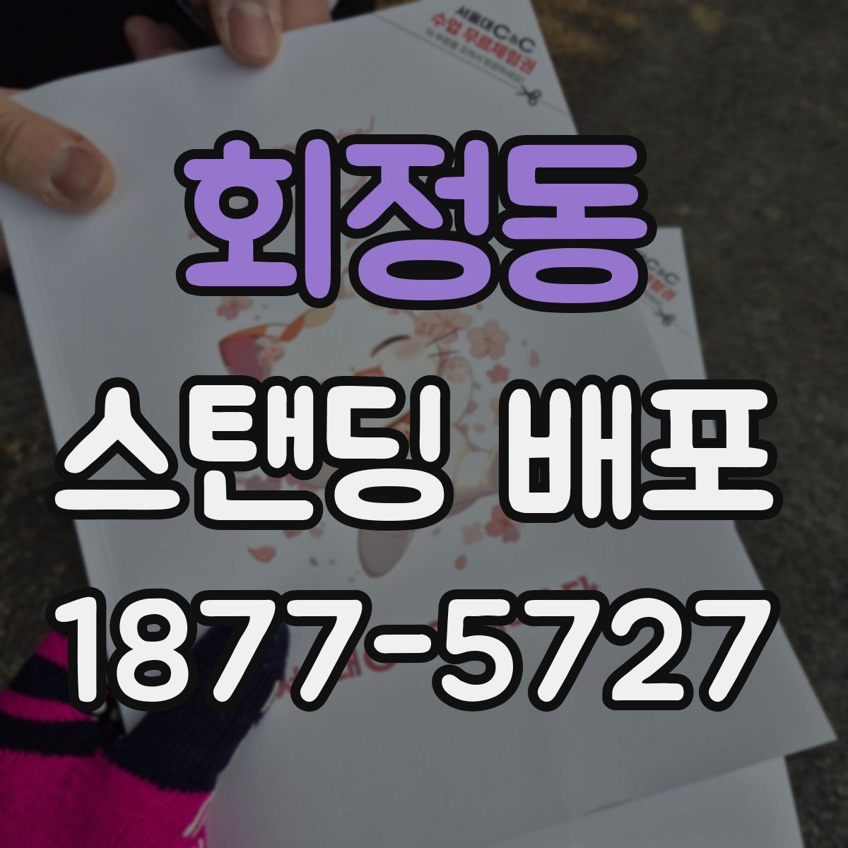 회정동 스탠딩 배포