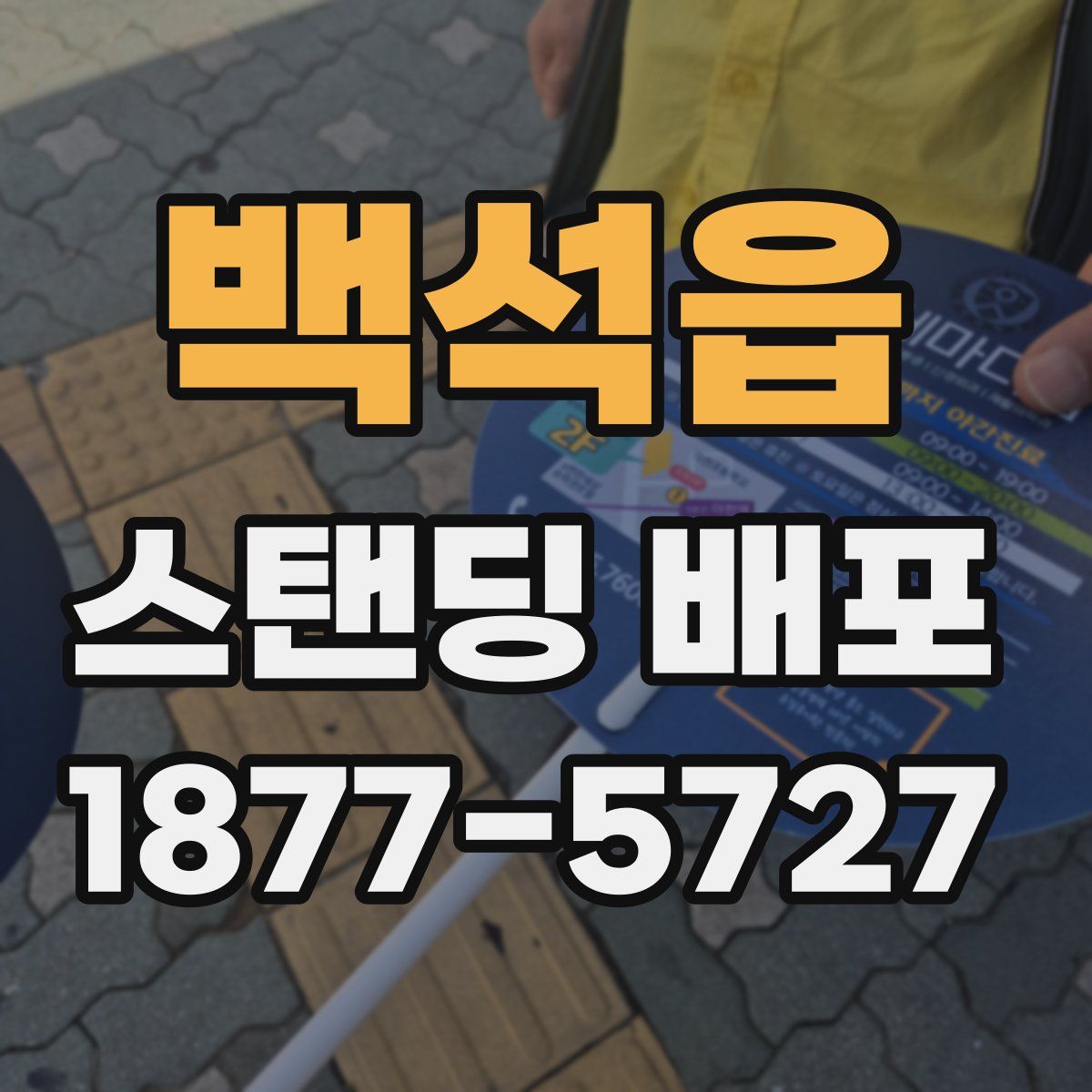 백석읍 스탠딩 배포