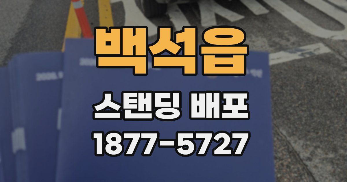 백석읍 스탠딩 배포