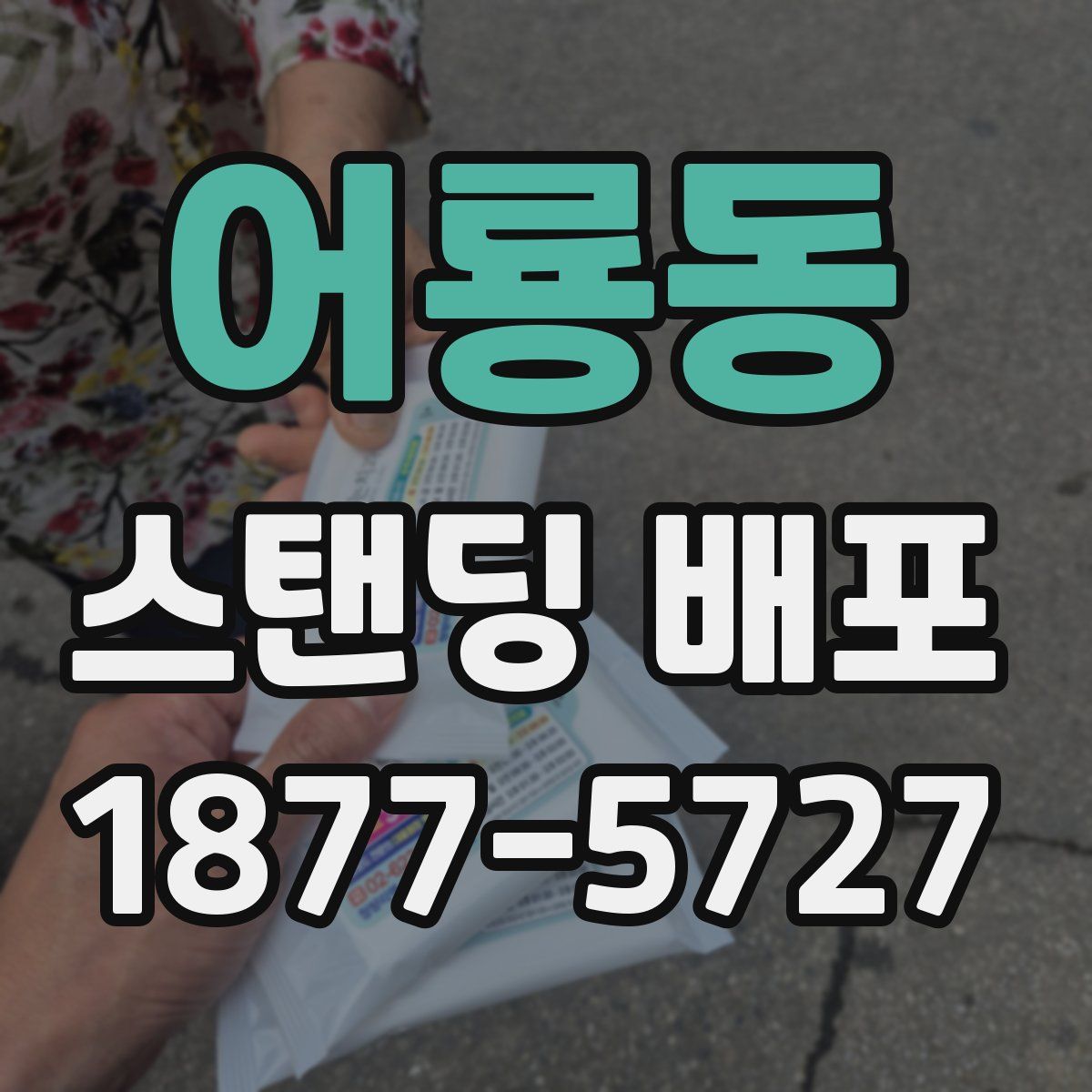 어룡동 스탠딩 배포