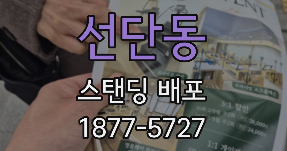 선단동 스탠딩 배포