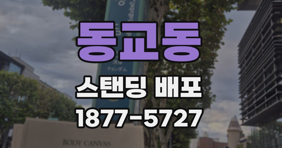 동교동 스탠딩 배포