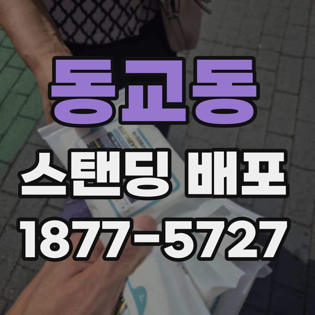 동교동 스탠딩 배포