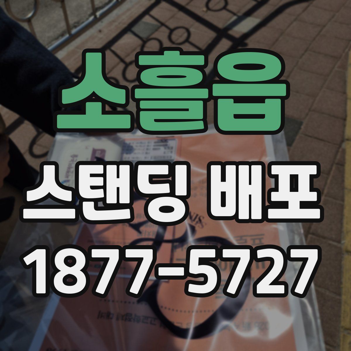 소흘읍 스탠딩 배포