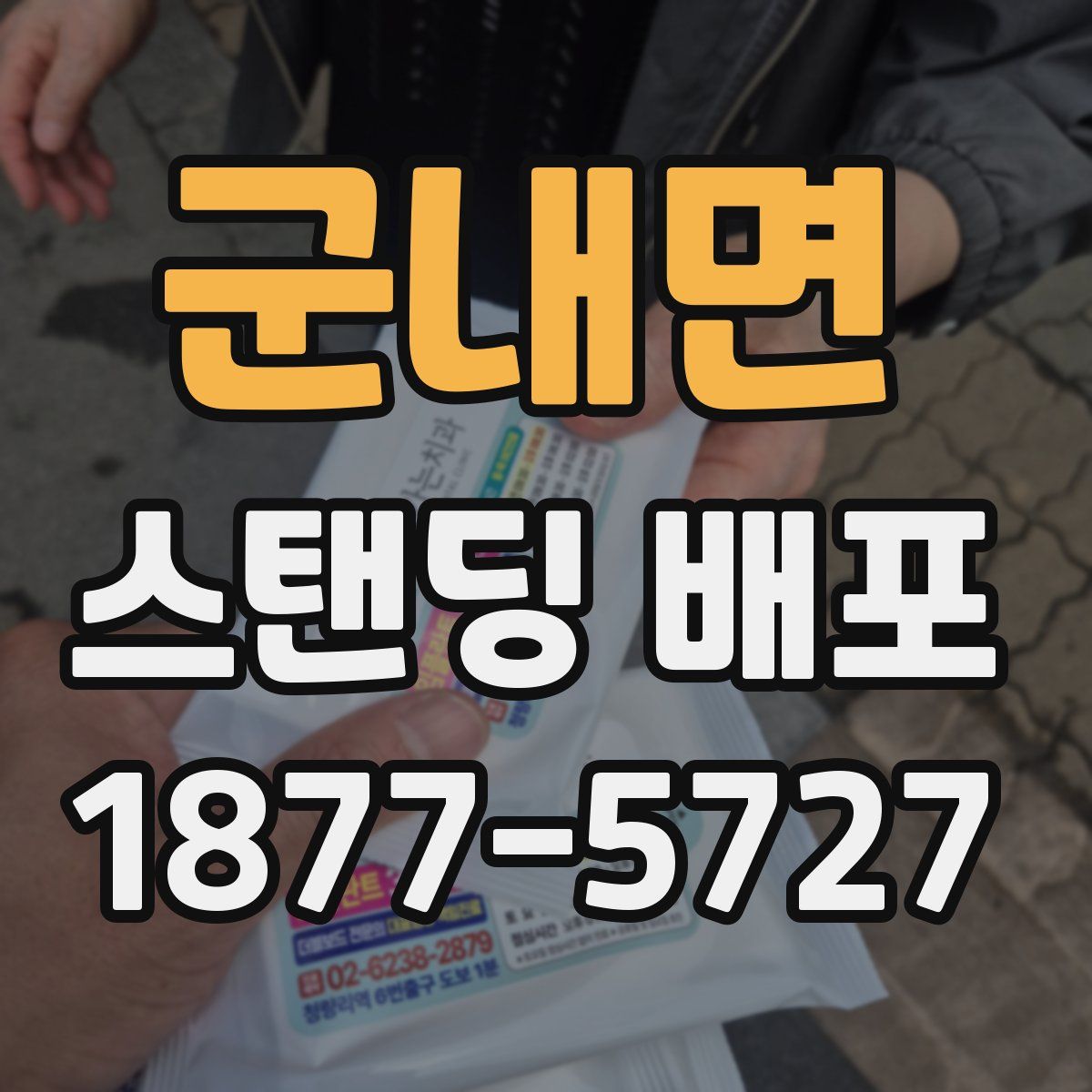 군내면 스탠딩 배포