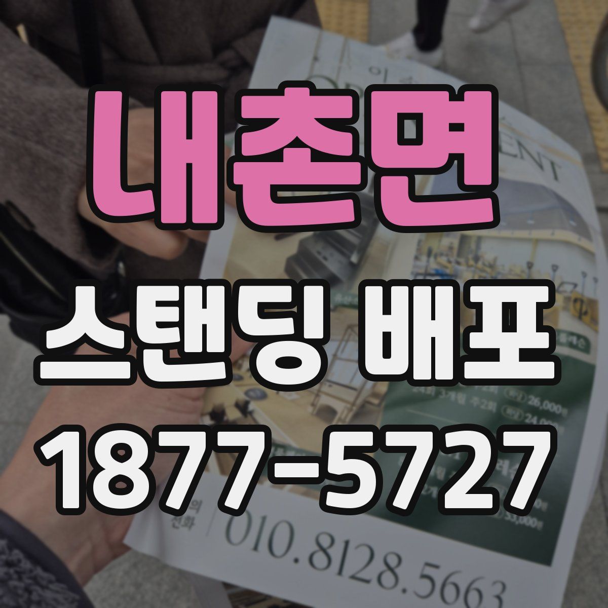 내촌면 스탠딩 배포