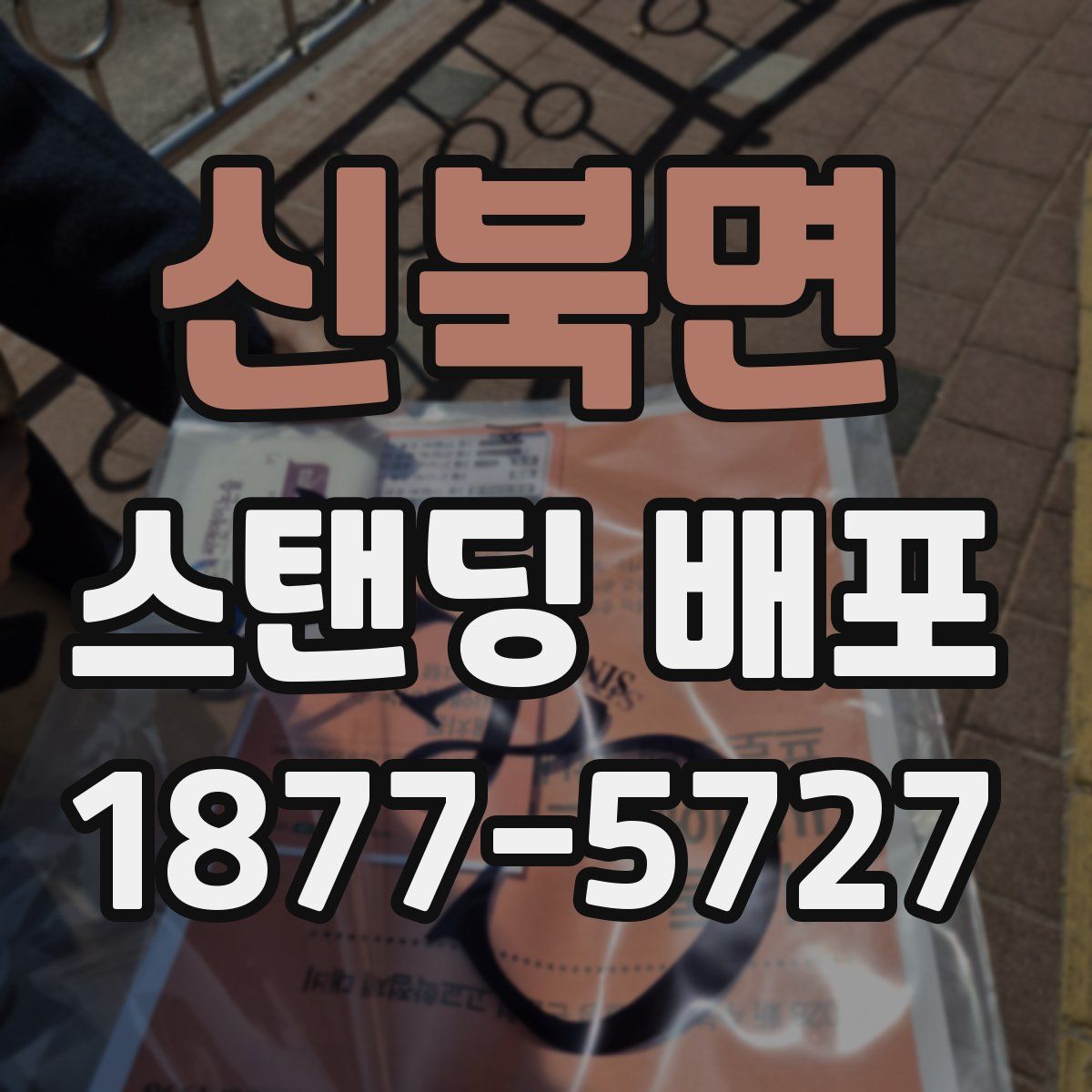 신북면 스탠딩 배포