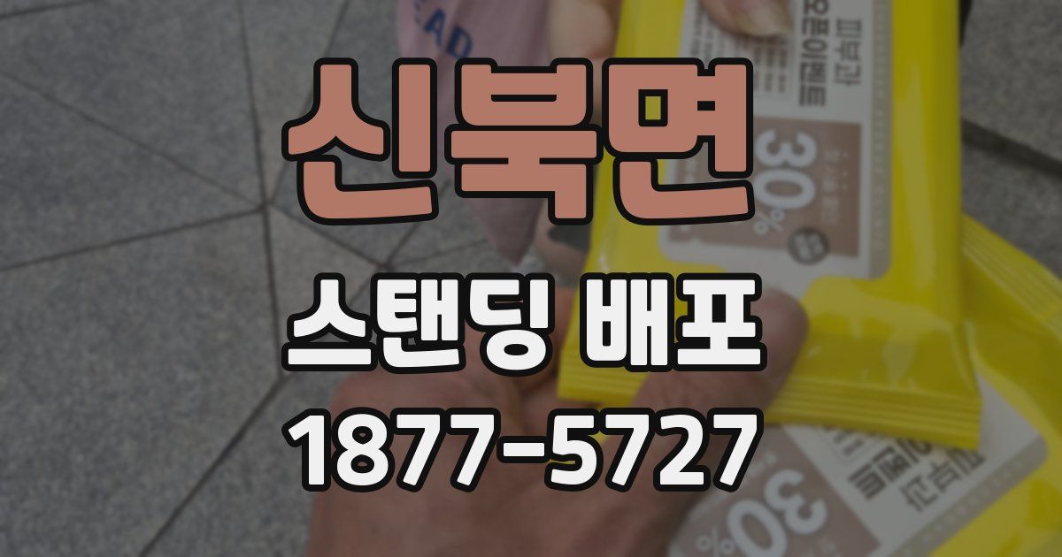 신북면 스탠딩 배포