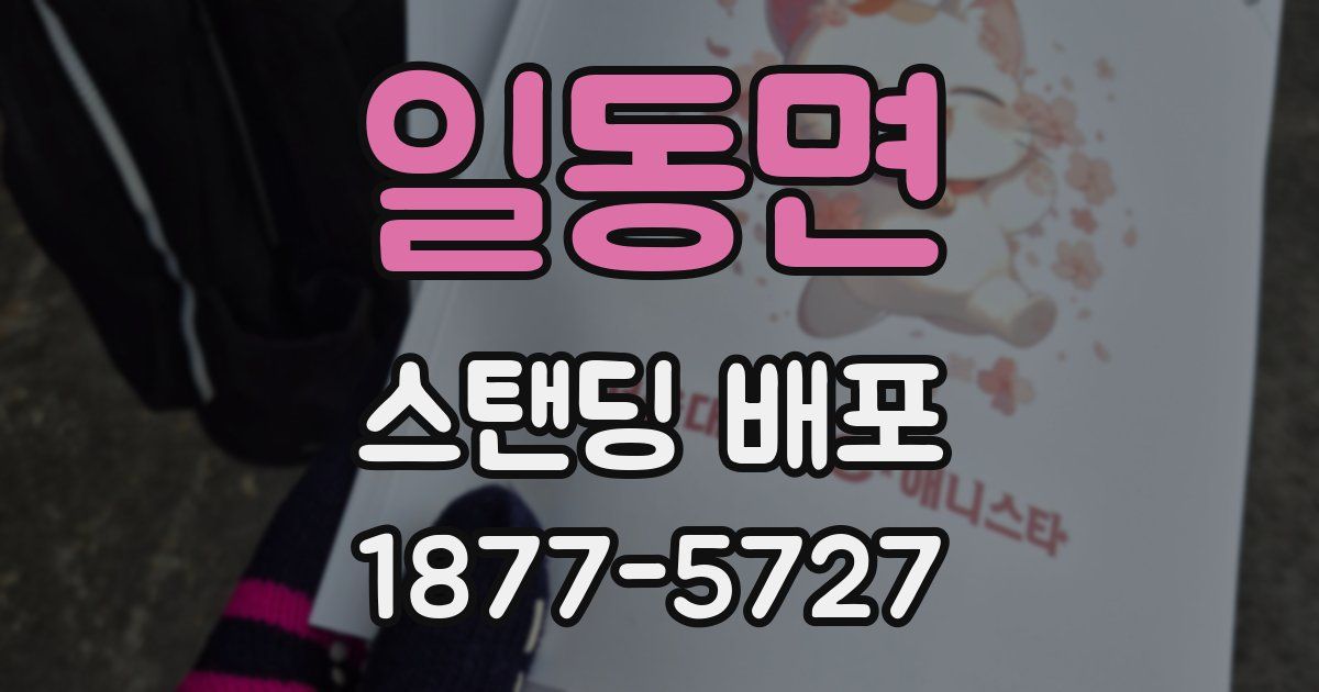 일동면 스탠딩 배포