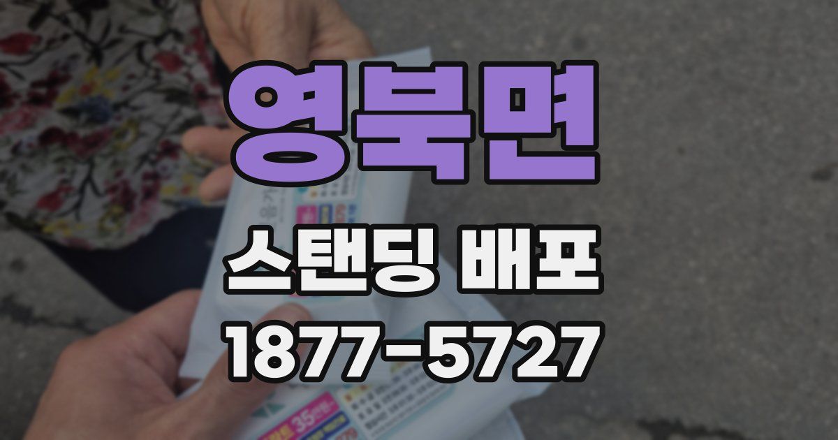 영북면 스탠딩 배포