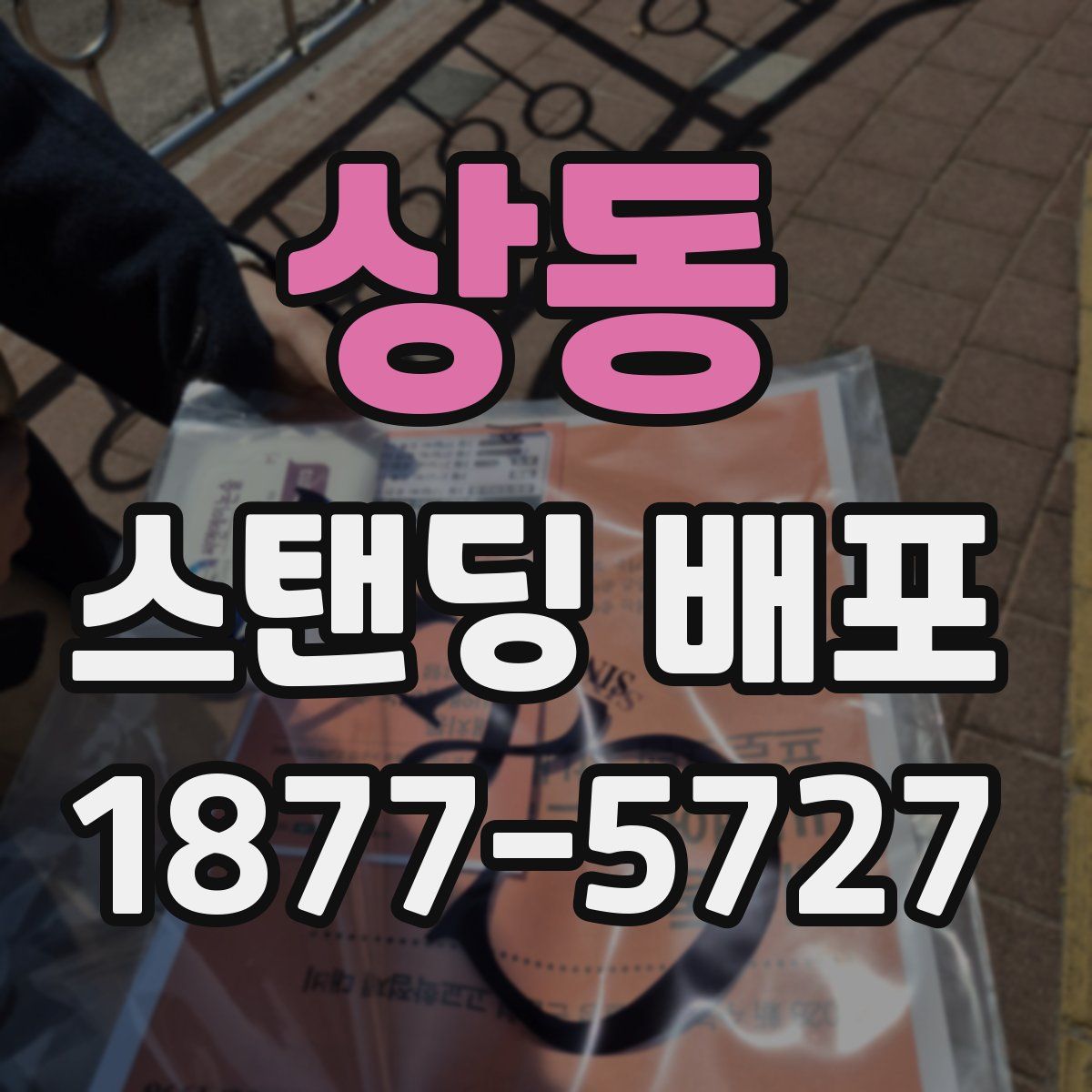 상동 스탠딩 배포