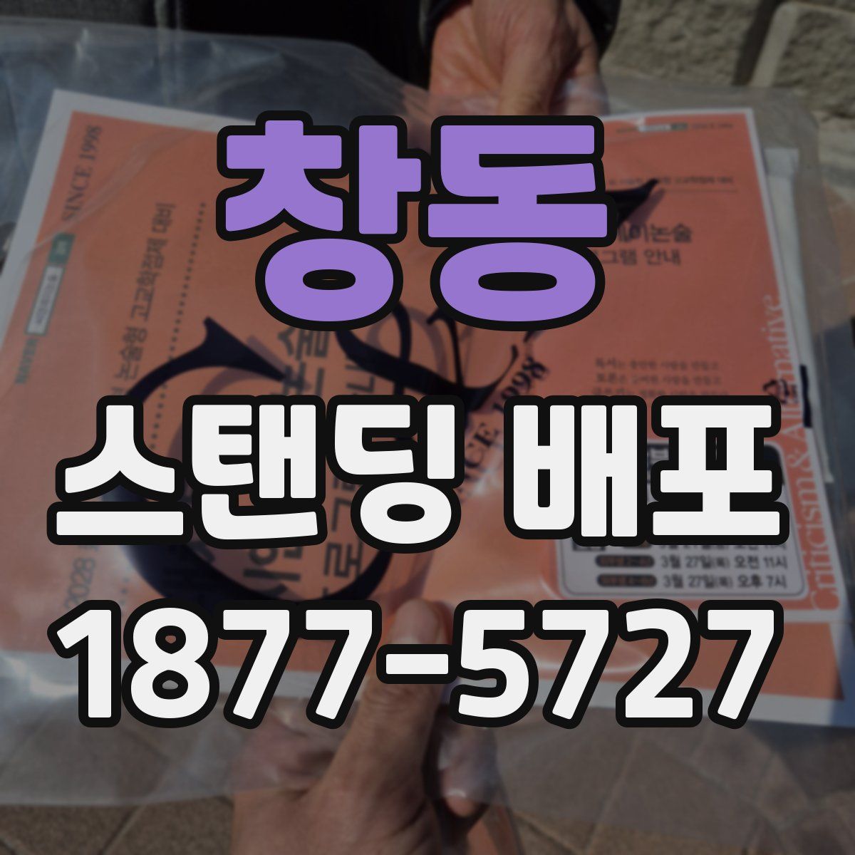 창동 스탠딩 배포