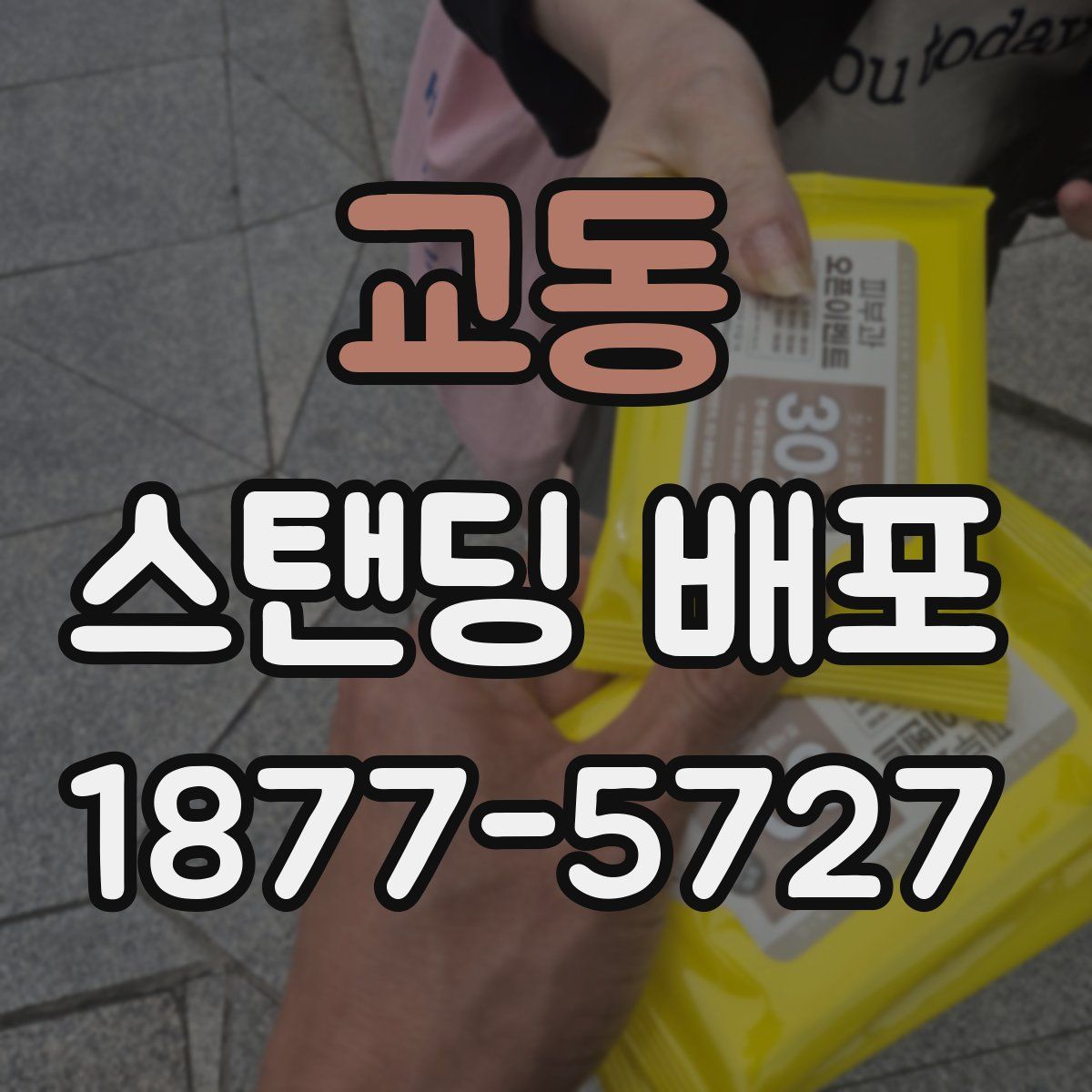 교동 스탠딩 배포