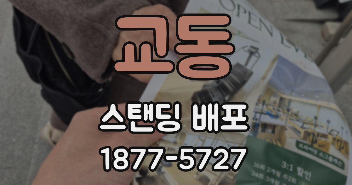 교동 스탠딩 배포