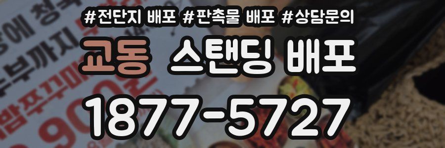 교동 스탠딩 배포