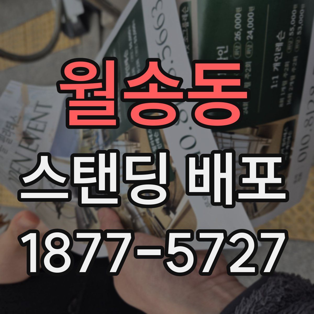 월송동 스탠딩 배포