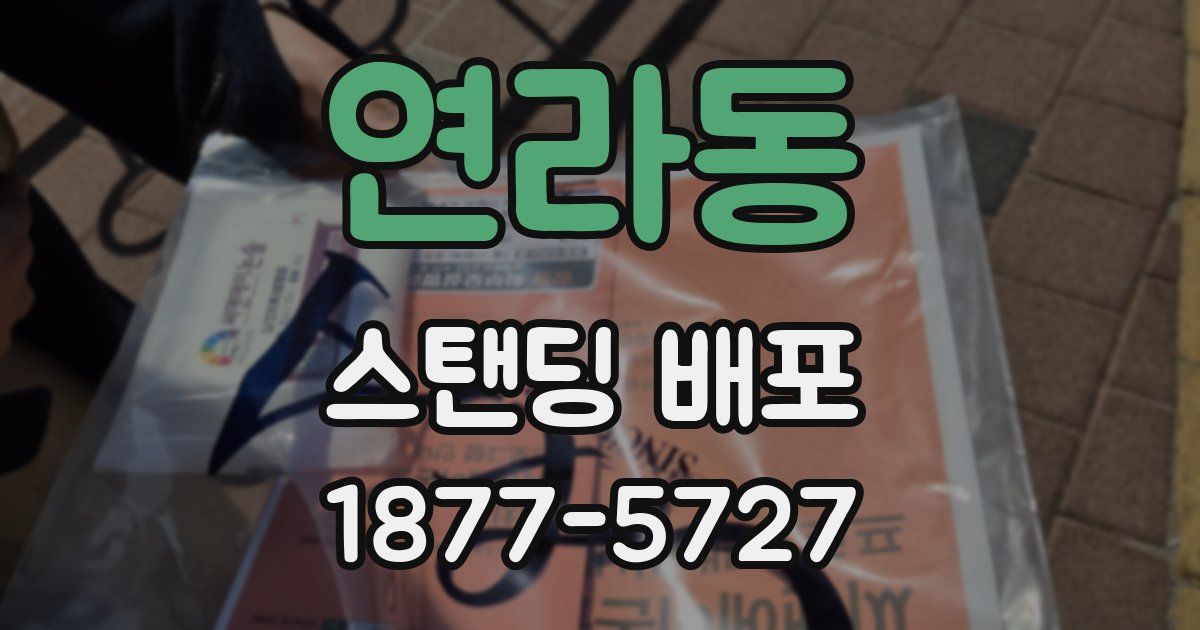 연라동 스탠딩 배포