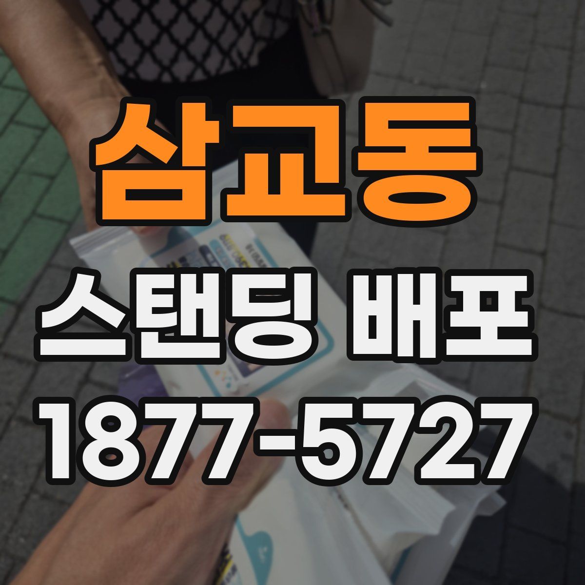 삼교동 스탠딩 배포