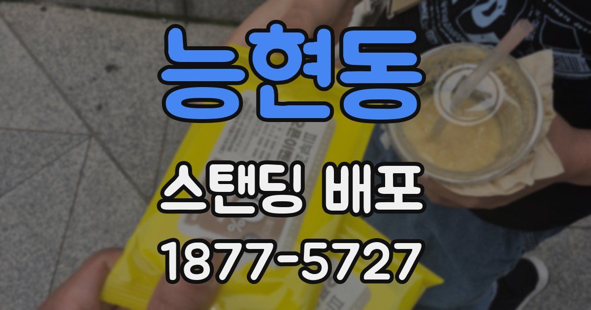 능현동 스탠딩 배포