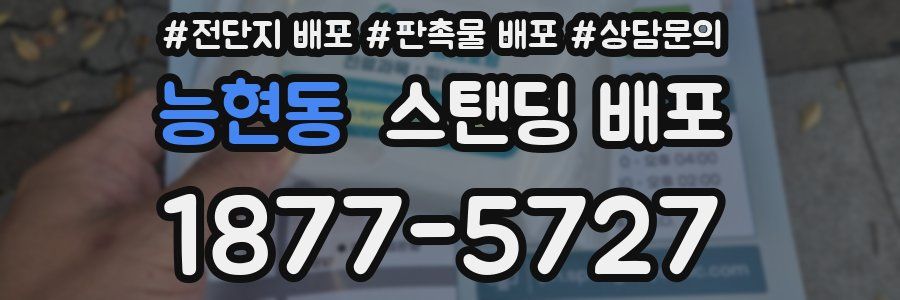 능현동 스탠딩 배포