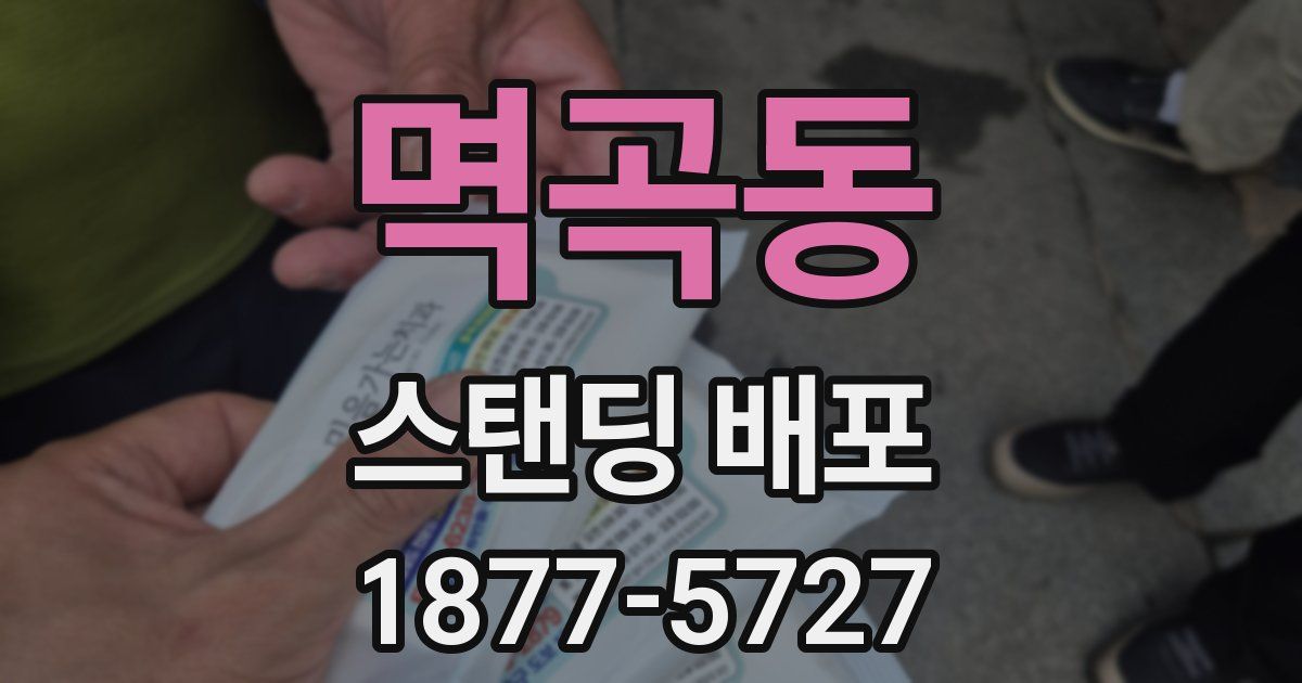 멱곡동 스탠딩 배포