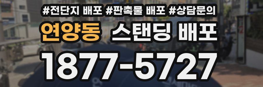 연양동 스탠딩 배포