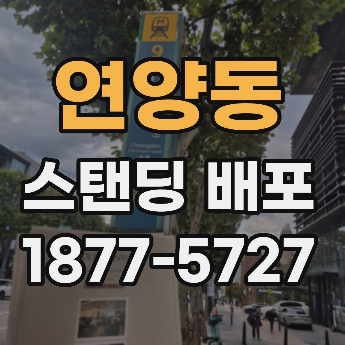 연양동 스탠딩 배포
