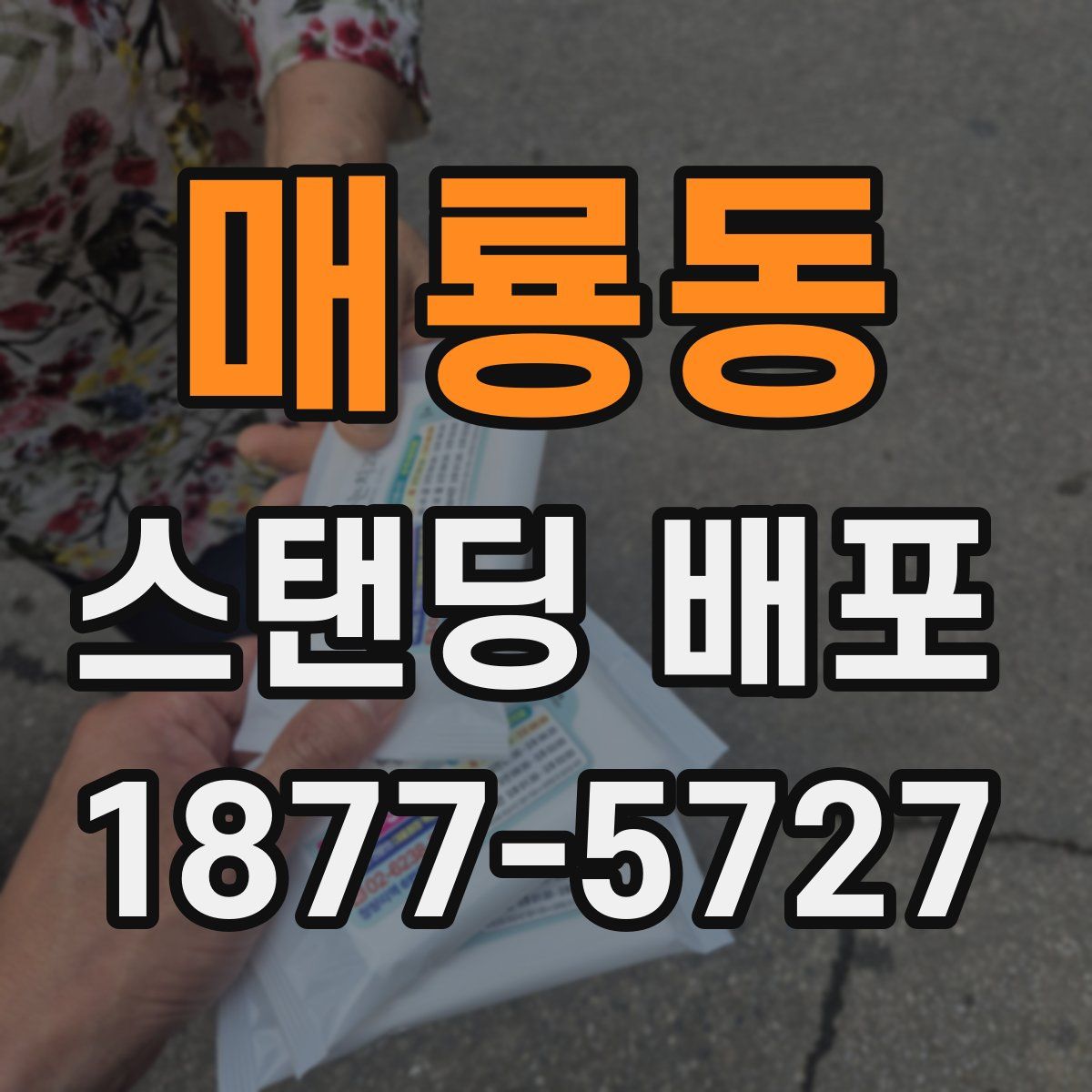 매룡동 스탠딩 배포