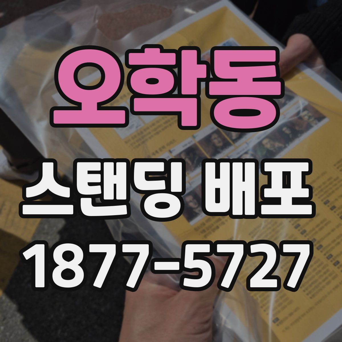 오학동 스탠딩 배포