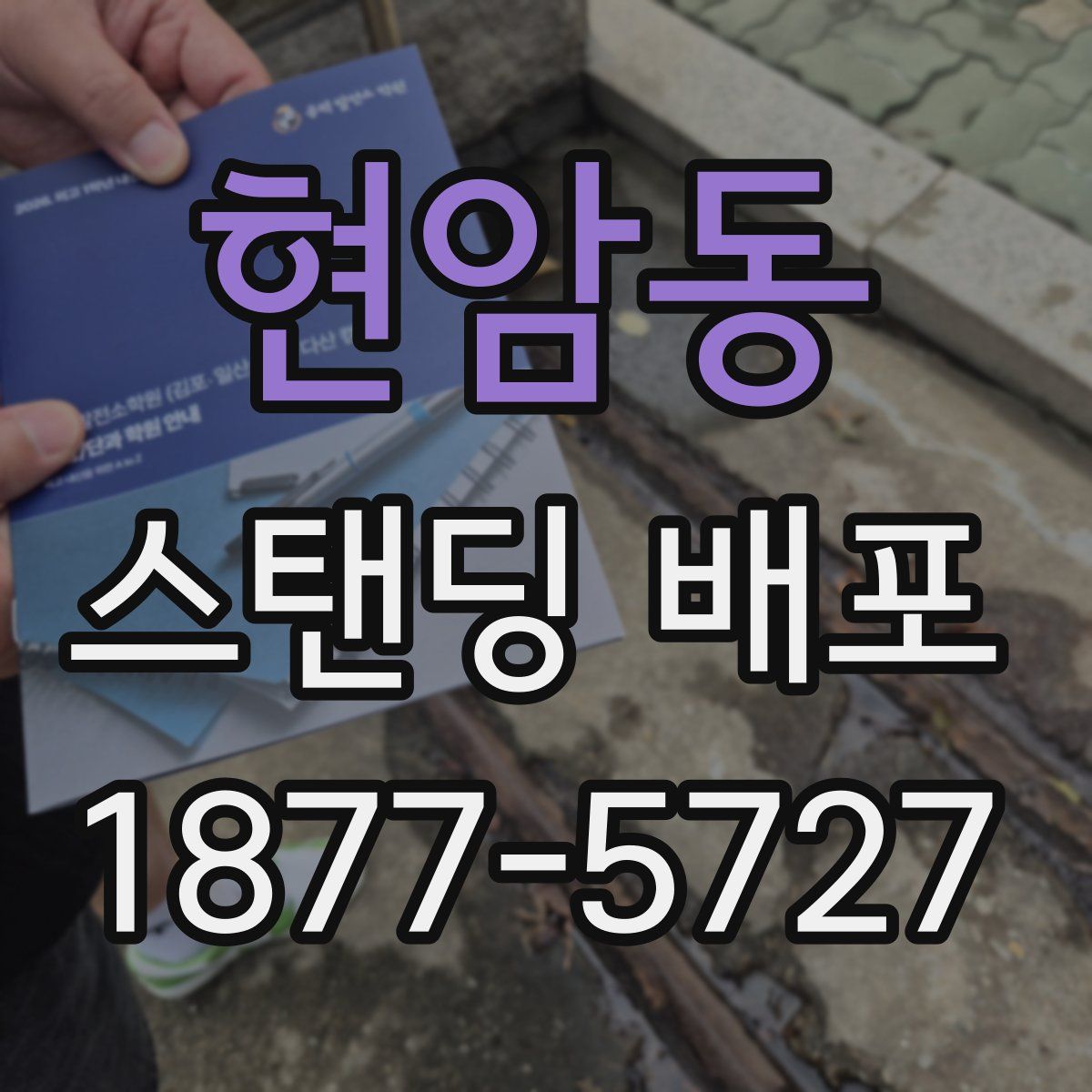 현암동 스탠딩 배포