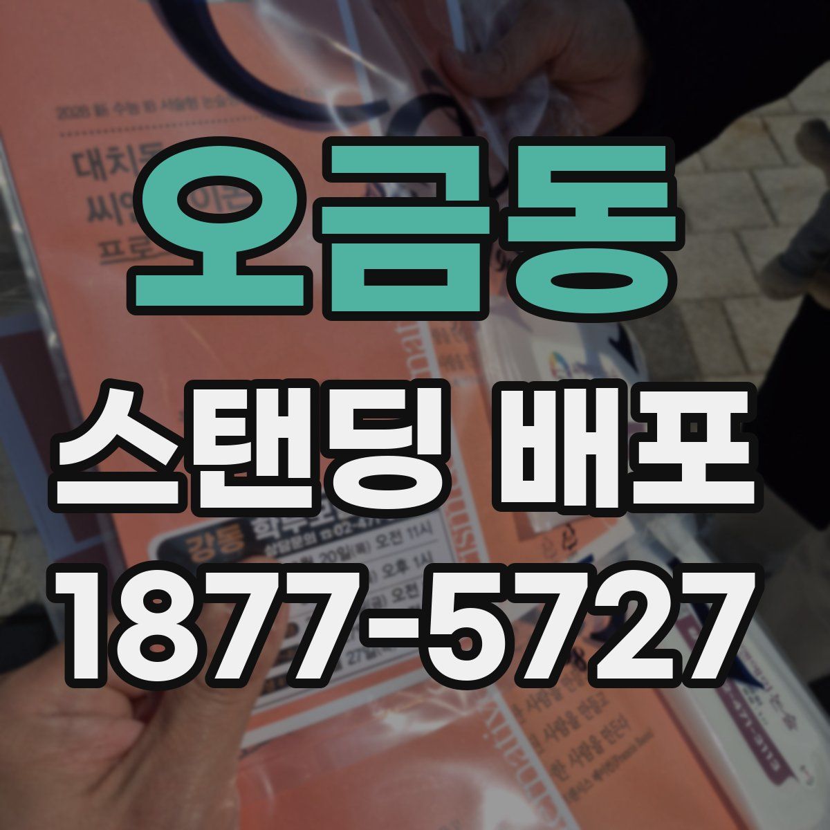 오금동 스탠딩 배포