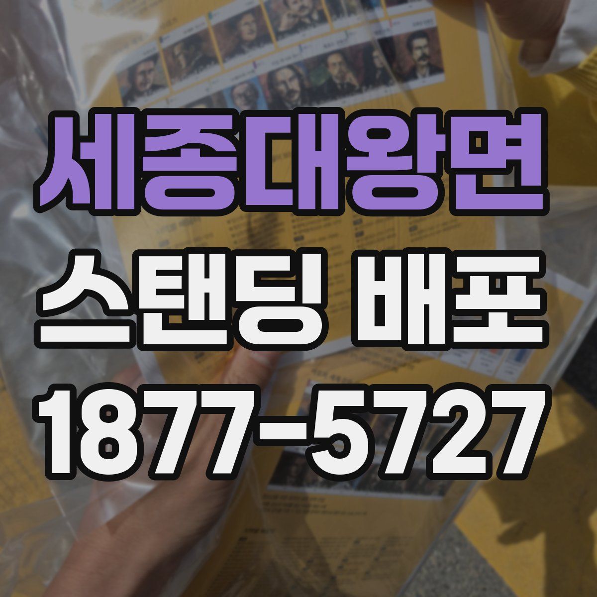 세종대왕면 스탠딩 배포