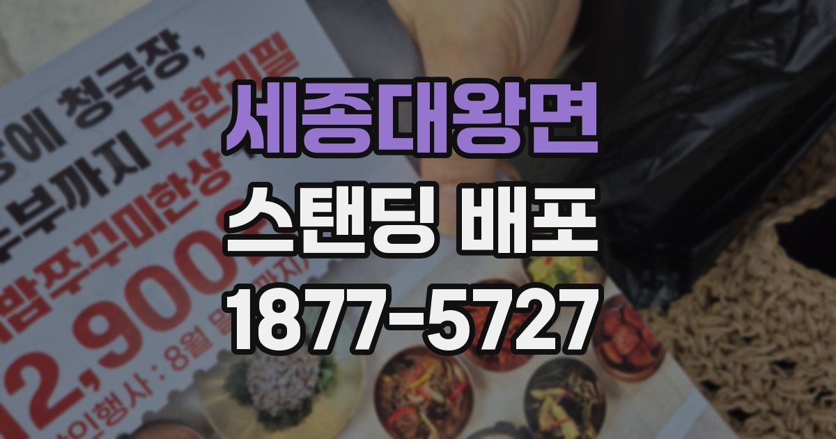 세종대왕면 스탠딩 배포