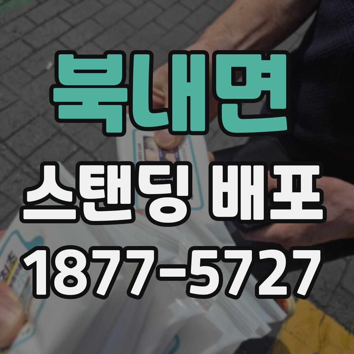북내면 스탠딩 배포