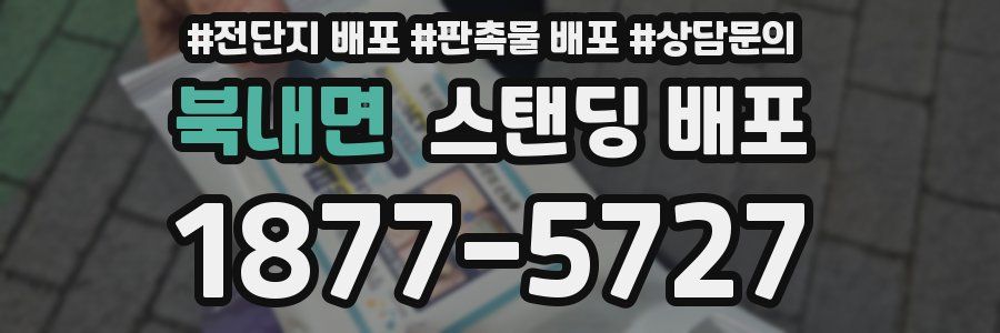 북내면 스탠딩 배포