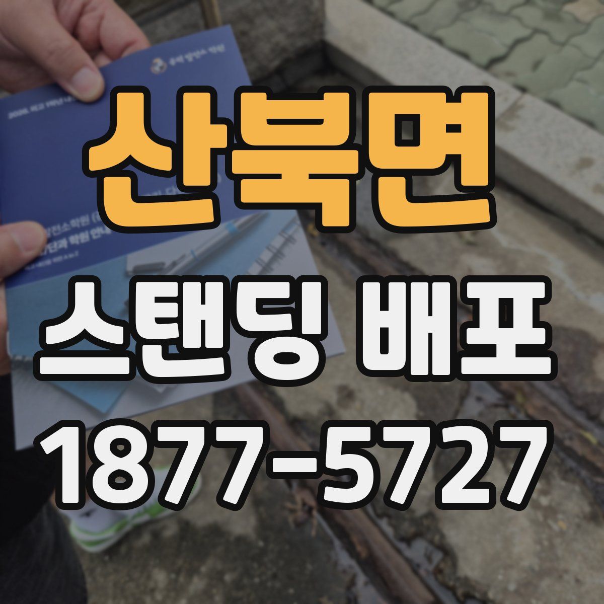 산북면 스탠딩 배포