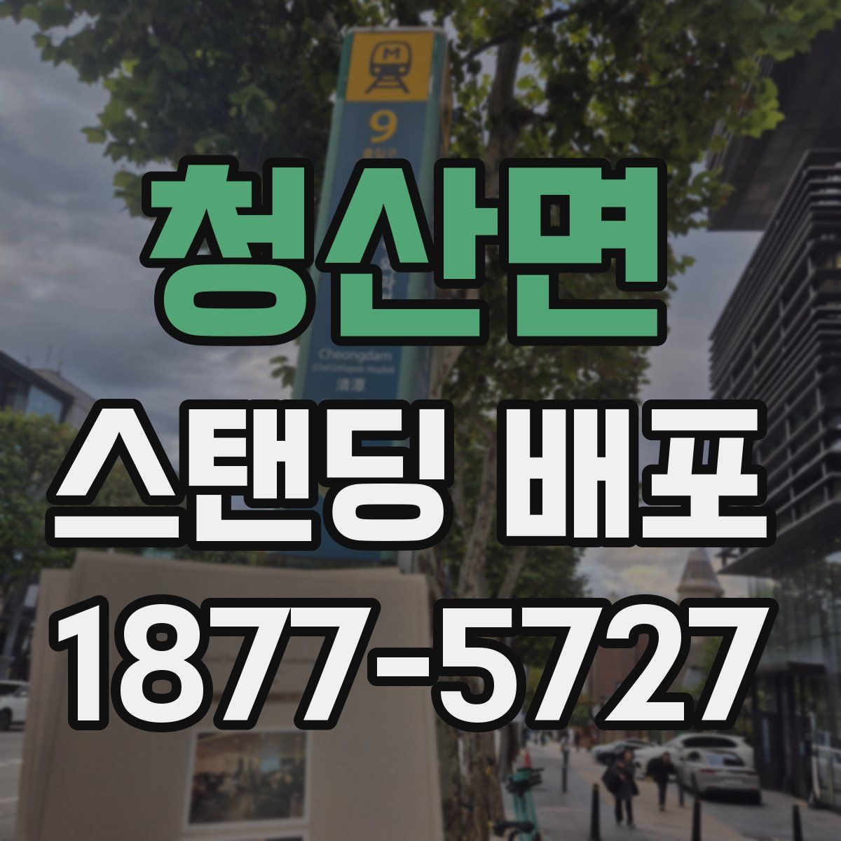 청산면 스탠딩 배포