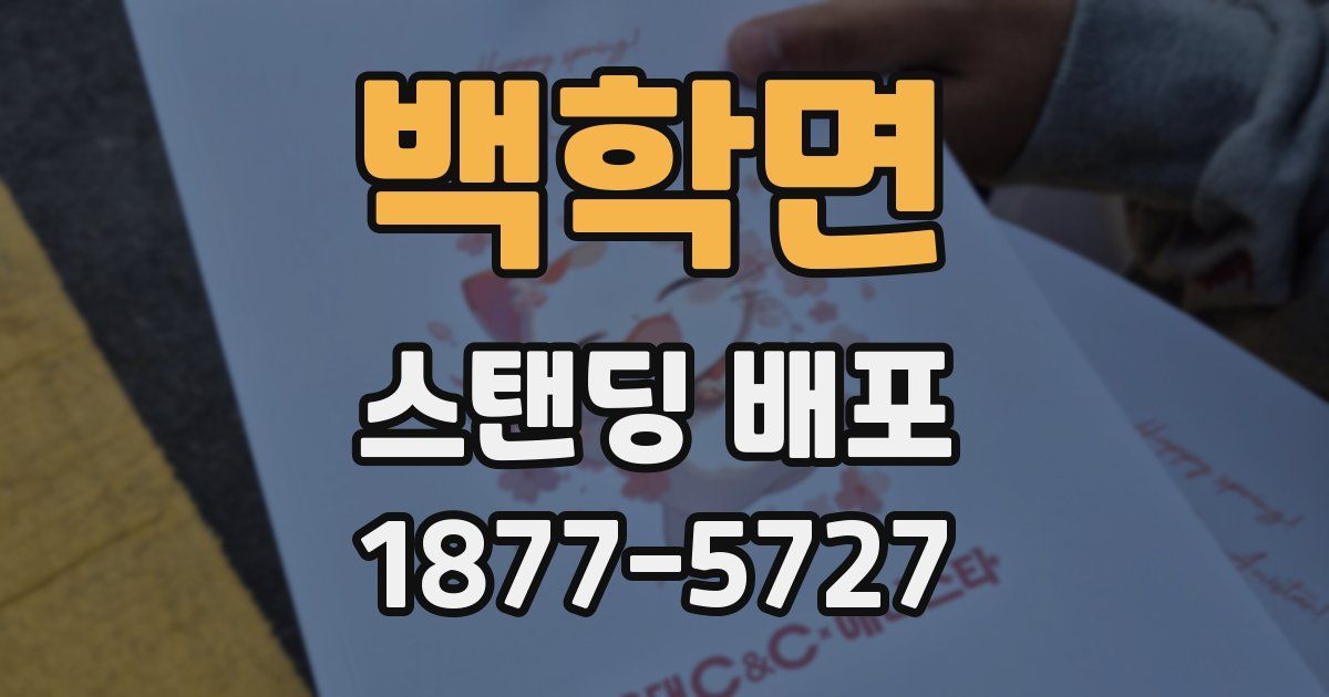 백학면 스탠딩 배포