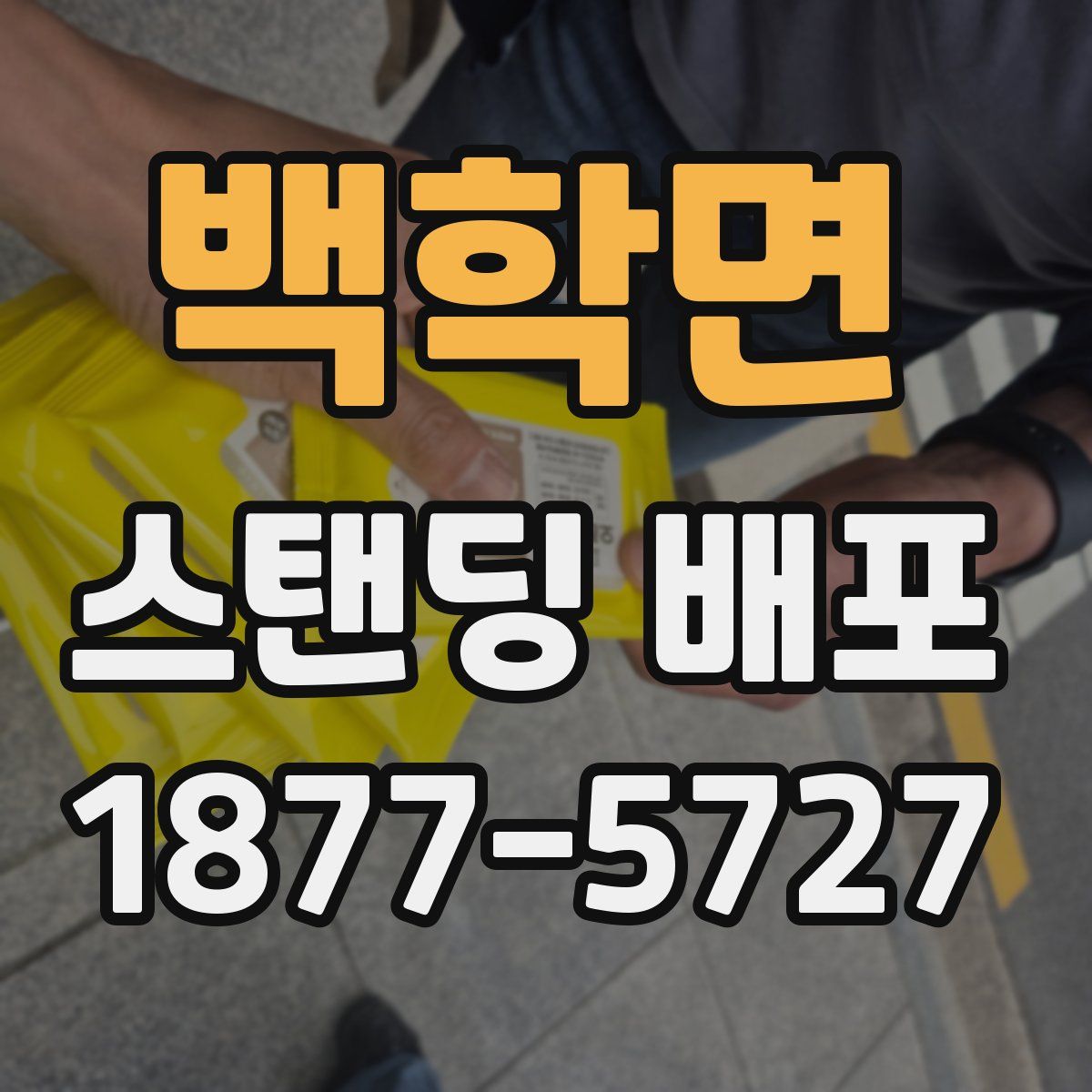 백학면 스탠딩 배포