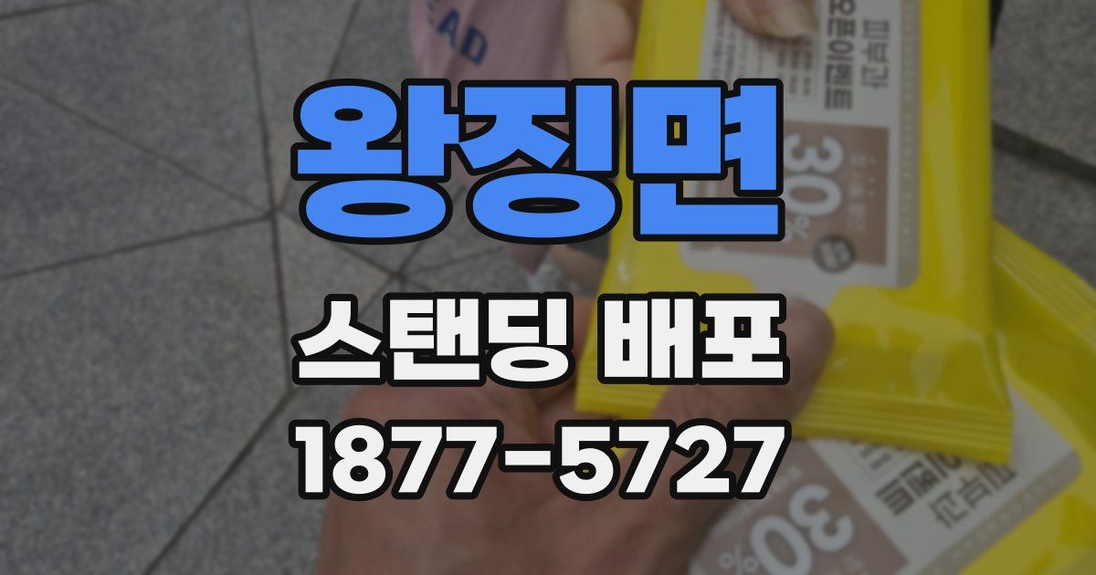 왕징면 스탠딩 배포