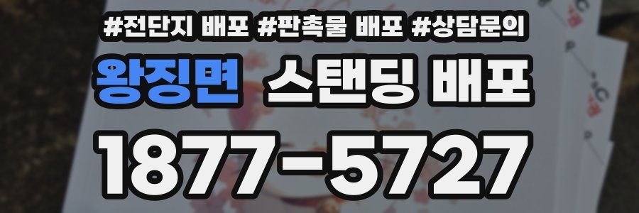 왕징면 스탠딩 배포