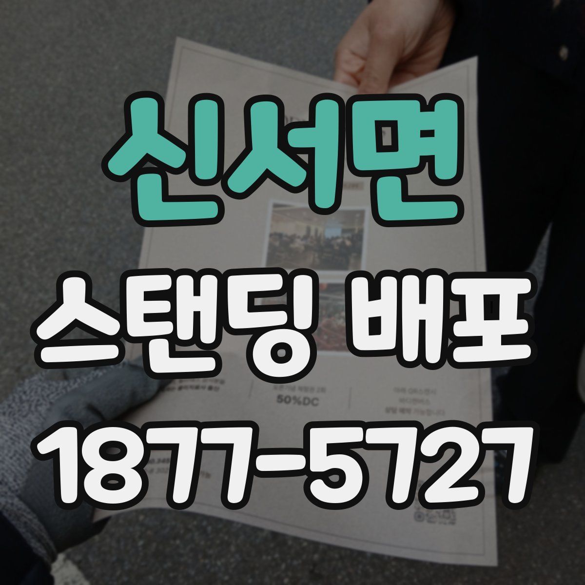 신서면 스탠딩 배포