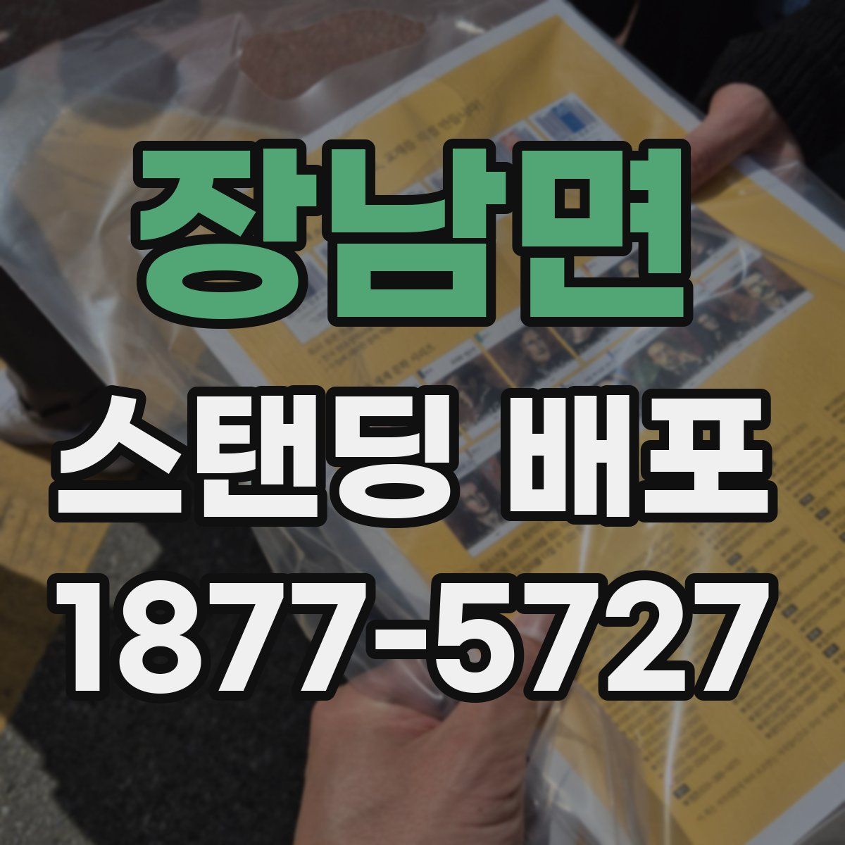 장남면 스탠딩 배포